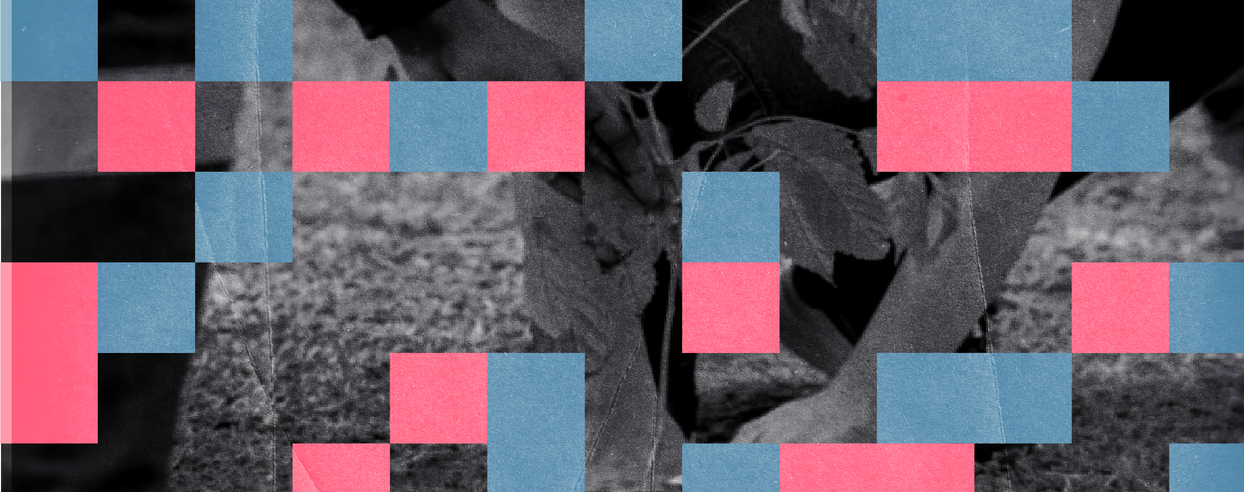 Conferencia “Guardianas de la biodiversidad”. Parte de seminario "Conectadas y resilientes: una mirada feminista".