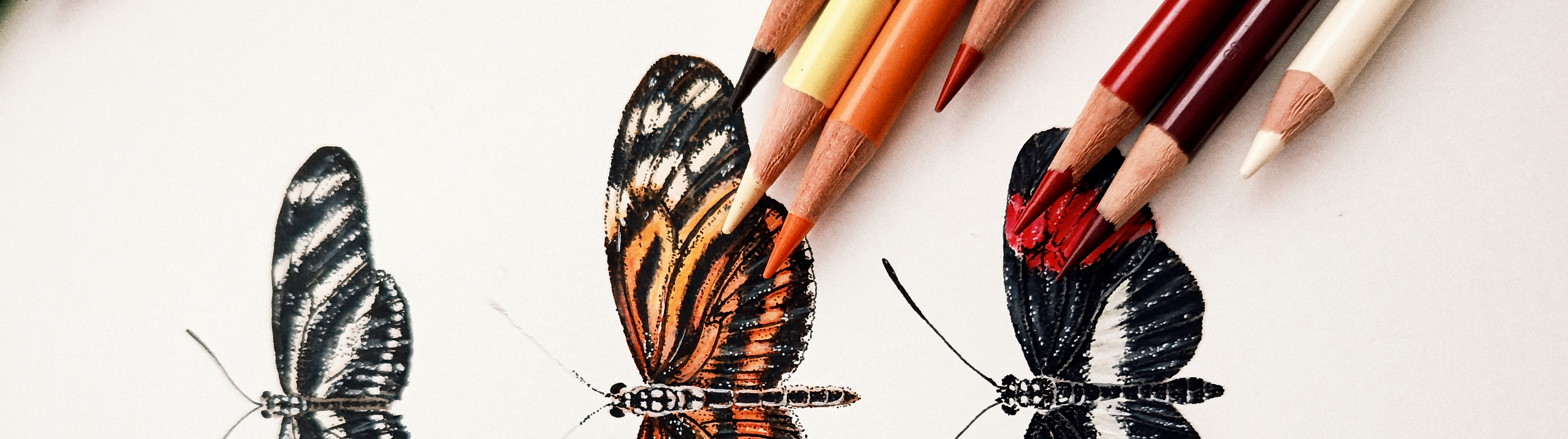 Talleres de Biodiversidad e Ilustración Científica