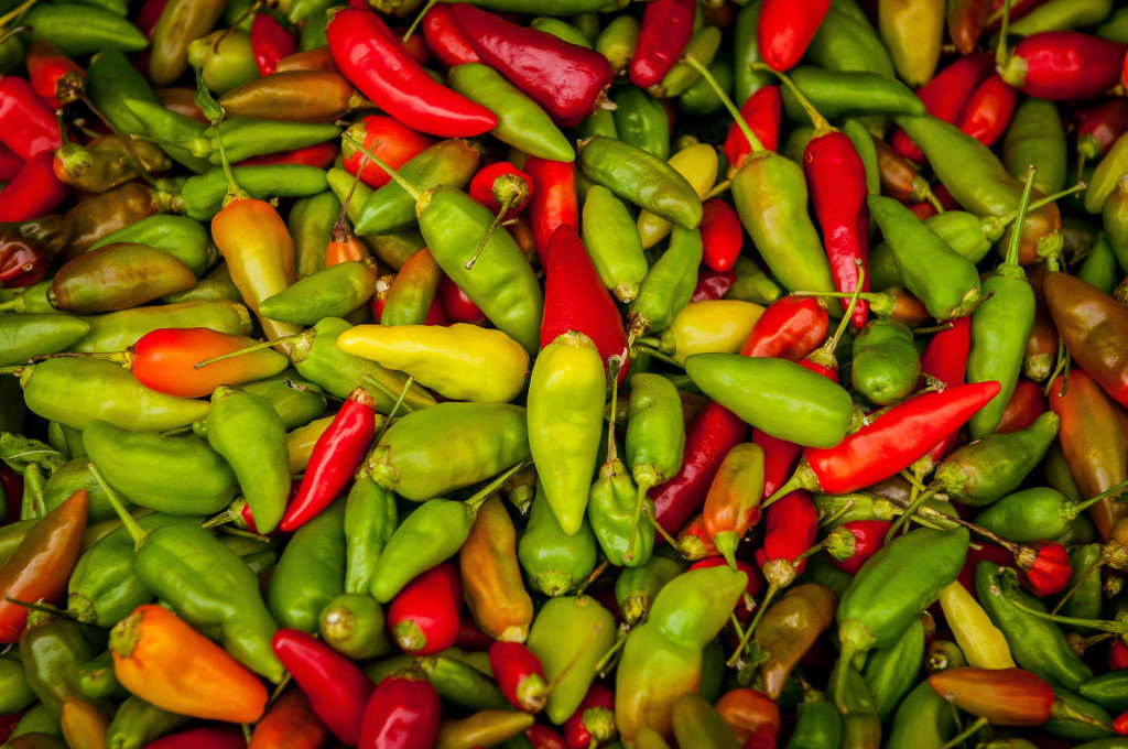Picante: exposición sobre la historia del picante, en colaboración con el Biomuseo