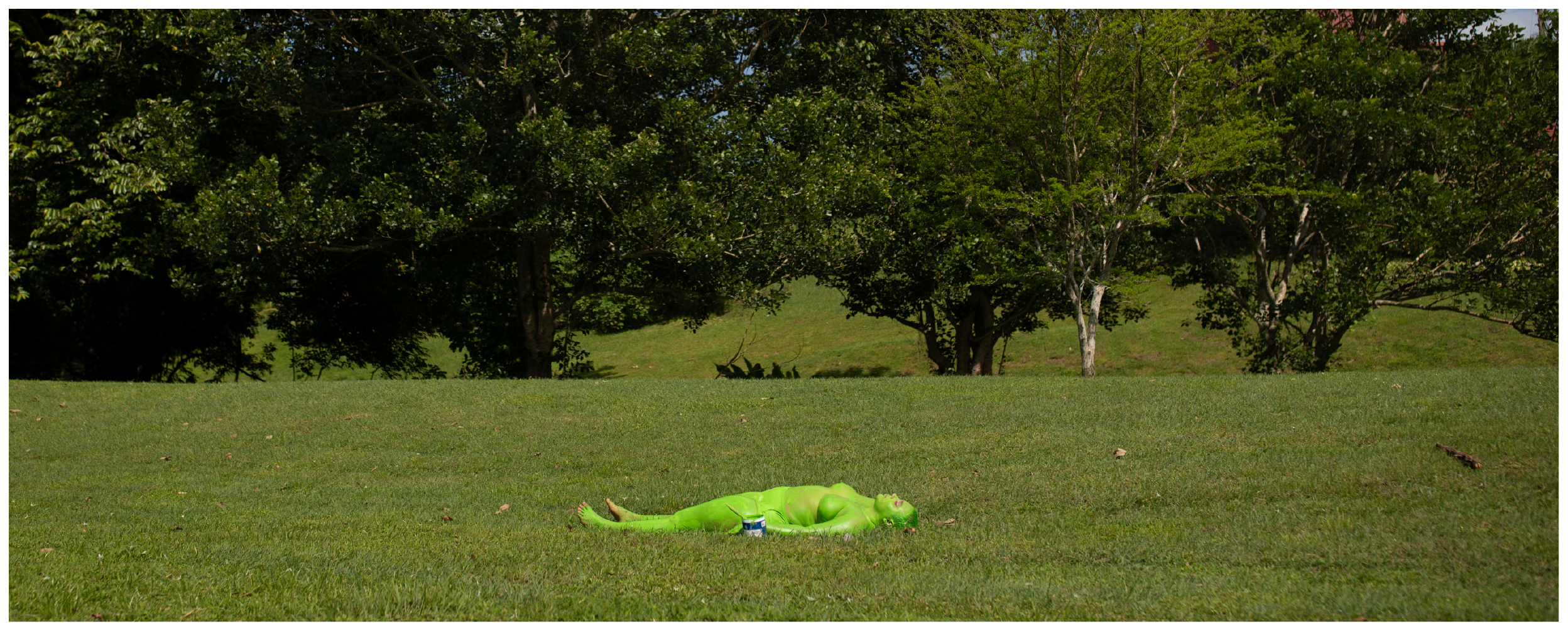 La dimensión de lo invisible: Rastros ecofeministas del arte panameño