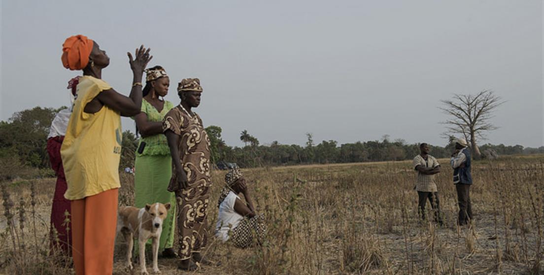Proyecto Senegal